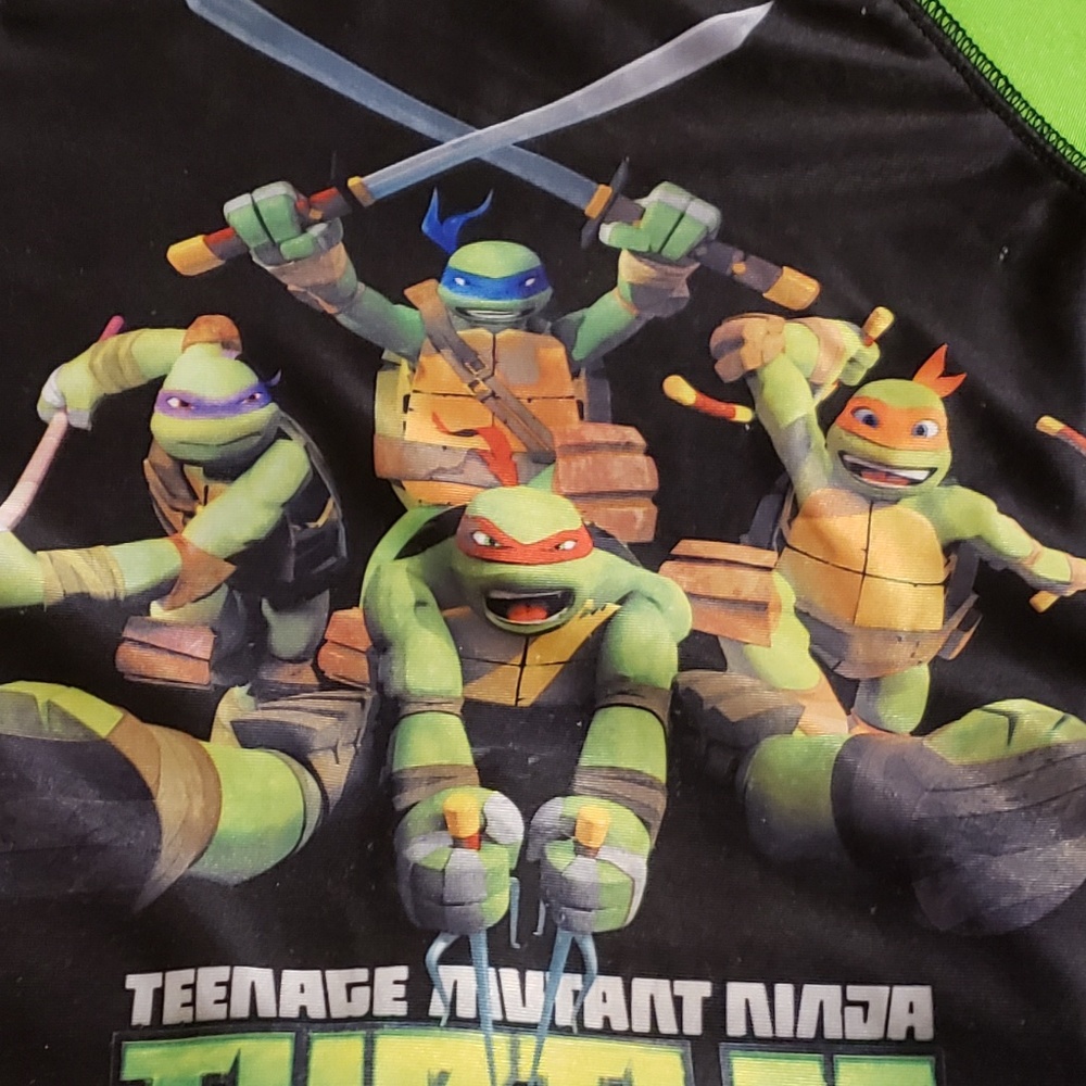 Boys Size 4t Ninja Turtle outfit